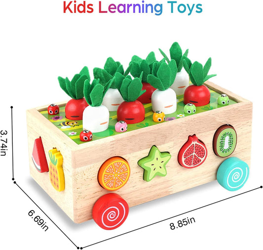 Montessori Wooden Shape Sorter