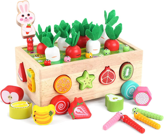 Montessori Wooden Shape Sorter