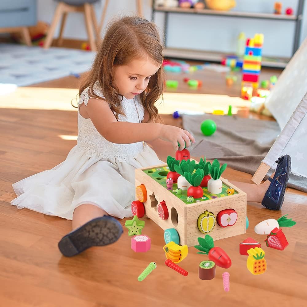 Montessori Wooden Shape Sorter
