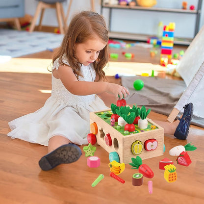Montessori Wooden Shape Sorter