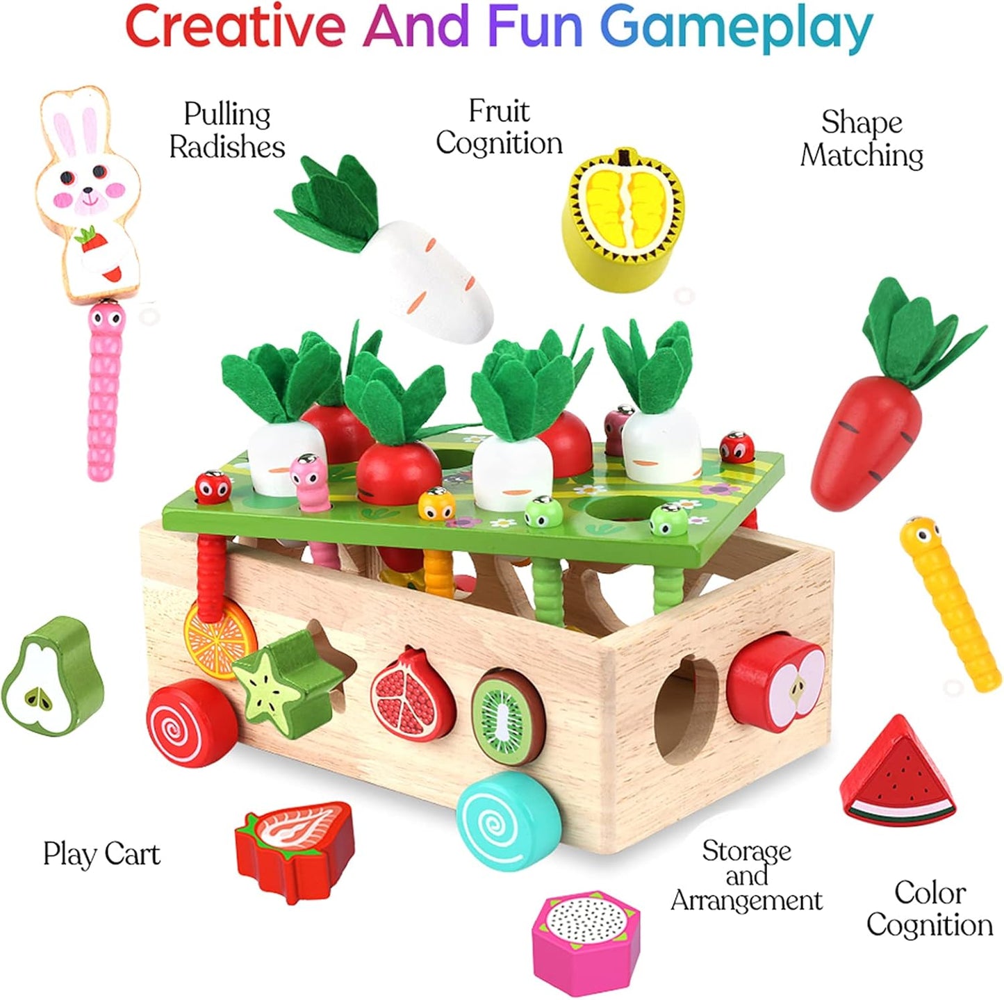 Montessori Wooden Shape Sorter